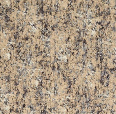 Clarke & Clarke Dipinto Velvet in Charcoal